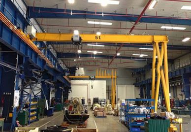 Europeisk halvgolatkran